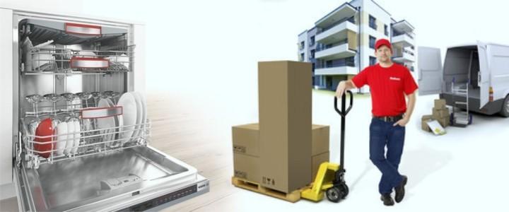 chọn mua máy rửa bát nhật bãi