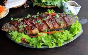 sử dụng lò hấp nướng cá đa năng