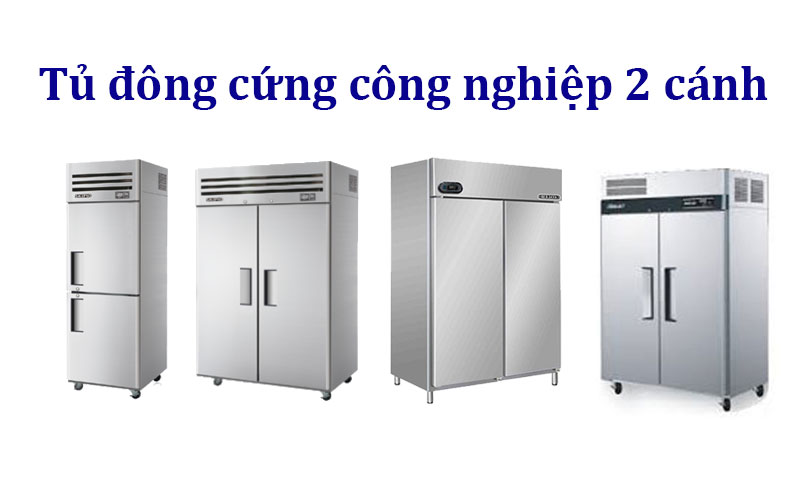 4 mẫu tủ đông công nghiệp 2 cánh chất lượng, giá rẻ