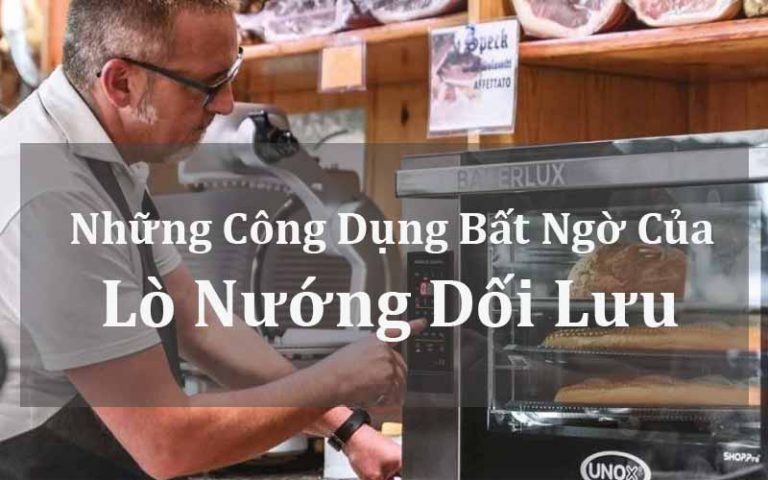 Những công dụng của lò nướng đối lưu có thể bạn chưa biết